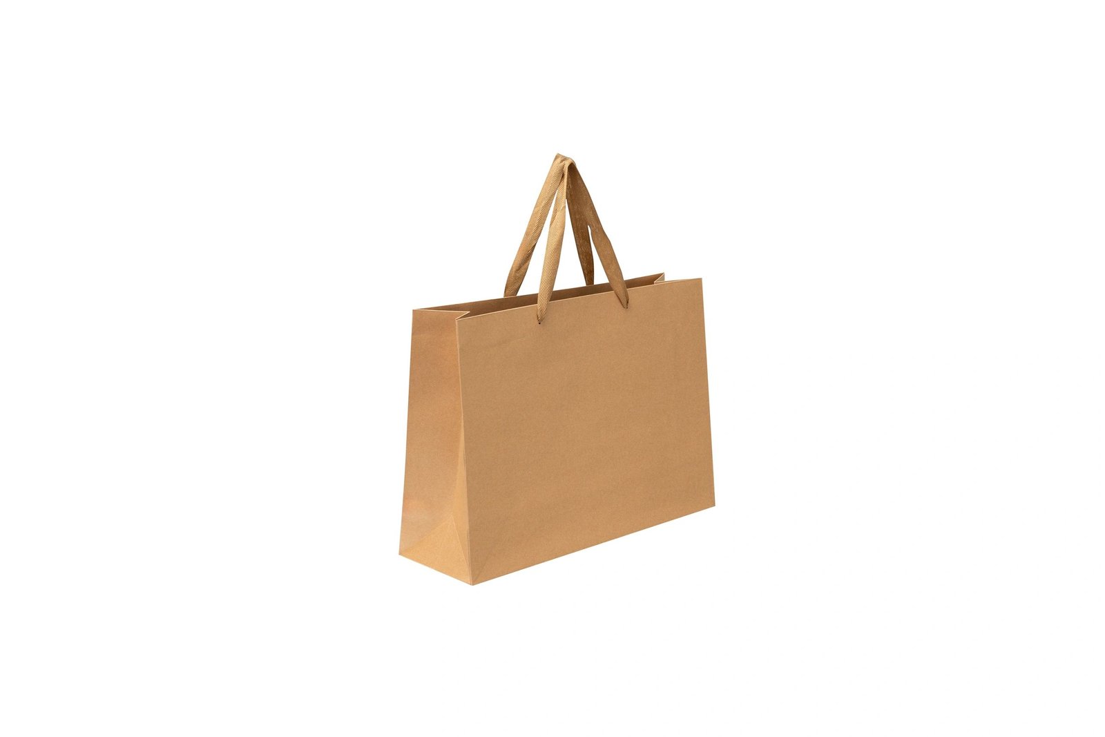 Fashion retail shopping bag mockup on a clean white background